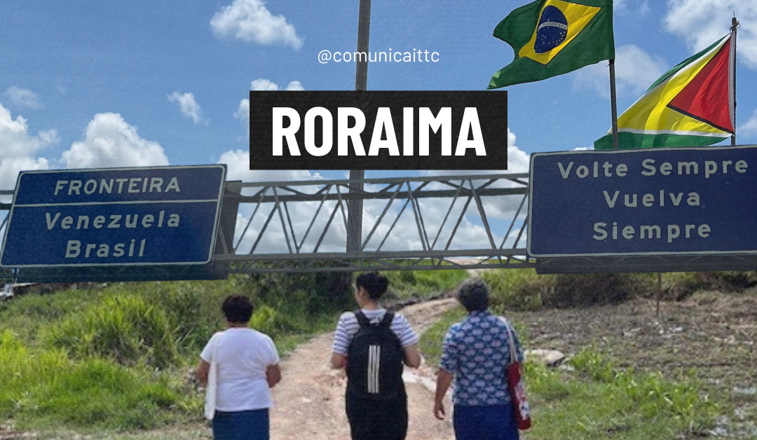 Atividades e análise crítica de visita de campo a Roraima
